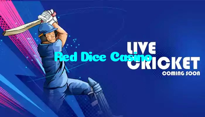 available types of Red Dice Casino bet including pre-match live express and system bets